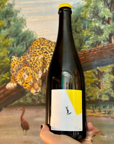 100% Gruner Vetliner. Kamptal, Austria  Woman winemaker - Martina Schachenhuber. All natural. Pét-nat (bubbles). Jumpy and lively like a bouncy house filled with green apples, white peaches and a big basket of mixed citrus. Vermouth vibes. Zero dosage (sugar) Limited and lovely
