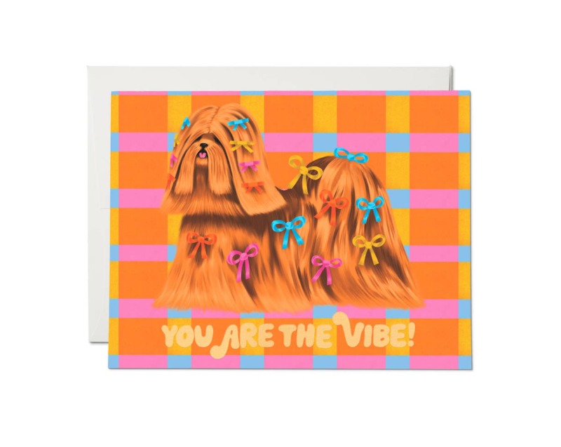 You Are the Vibe! Greeting Card
