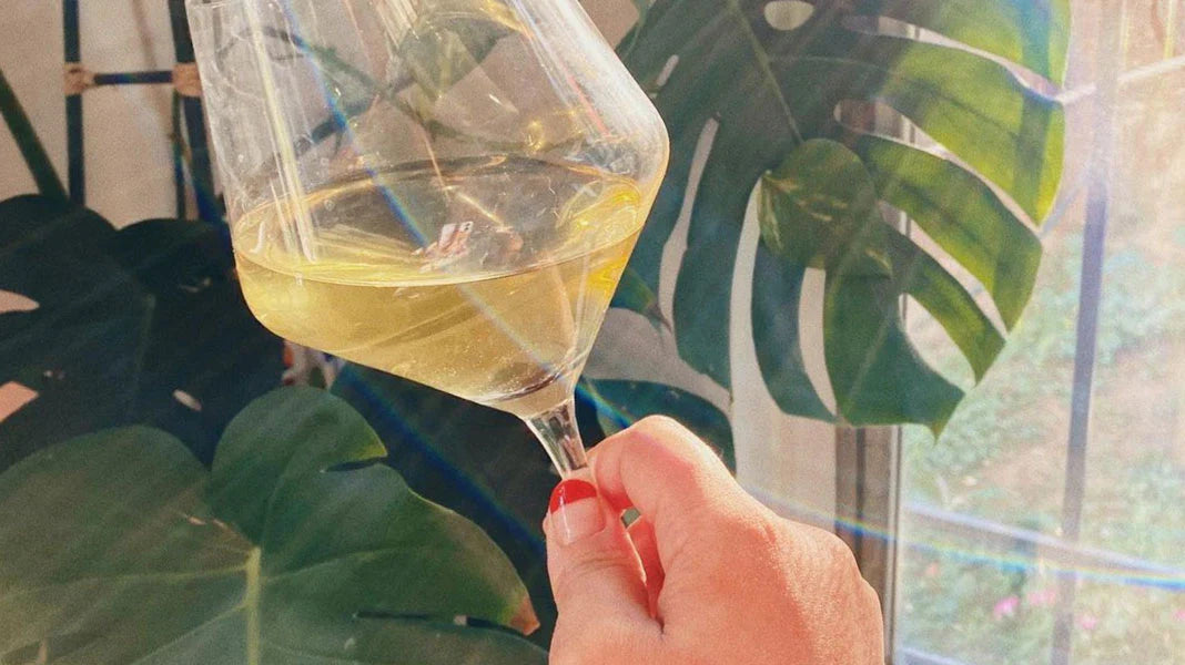 Photo of a hand holding a glass of white wine, in the sunlight