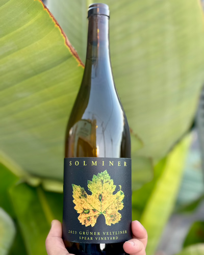 100% Grüner Vetliner.
Santa Rita Hills, Los Olivos, California.

Woman winemaker - Anna DeLaski.
All natural.
Green apple tartlet.
Super ripe and fleshy nectarines but DRY.
Cream of wheat.
Plump yellow raisins on dusty dry hay.
Fresh honeycomb.
Daisies in the Sun.
Lime mineral crunch.
If you're tired of Sauv Blanc and Chard...