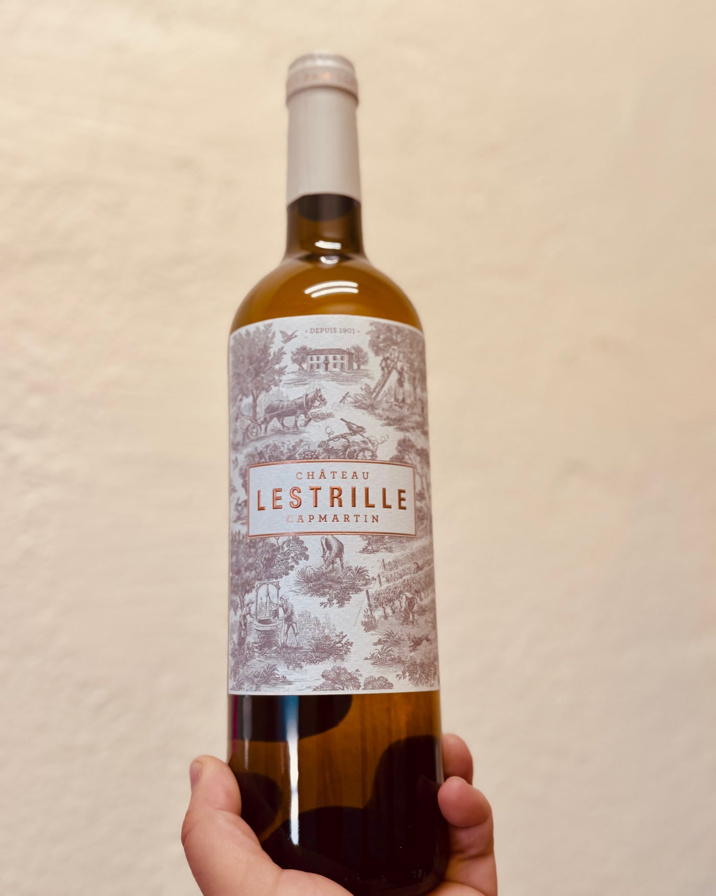 Château Lestrille-Capmartin Bordeaux Blanc