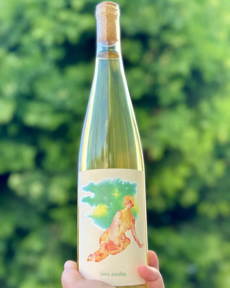 Bottle of wine with a colorful label featuring a woman and landscape, held against a green blurred background.