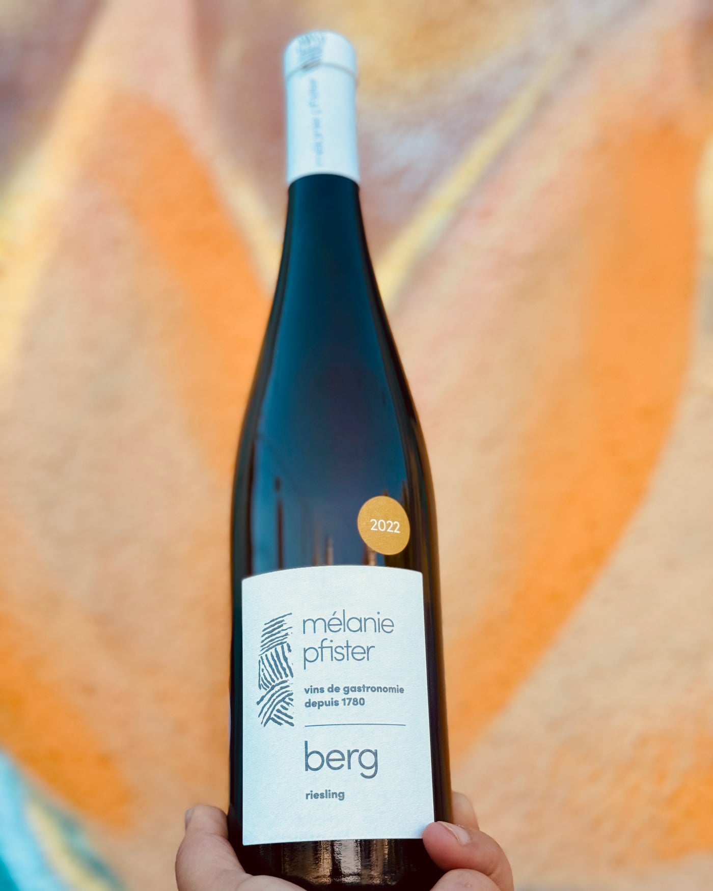 Wine bottle labeled 'melanie pfister' held against a colorful abstract background