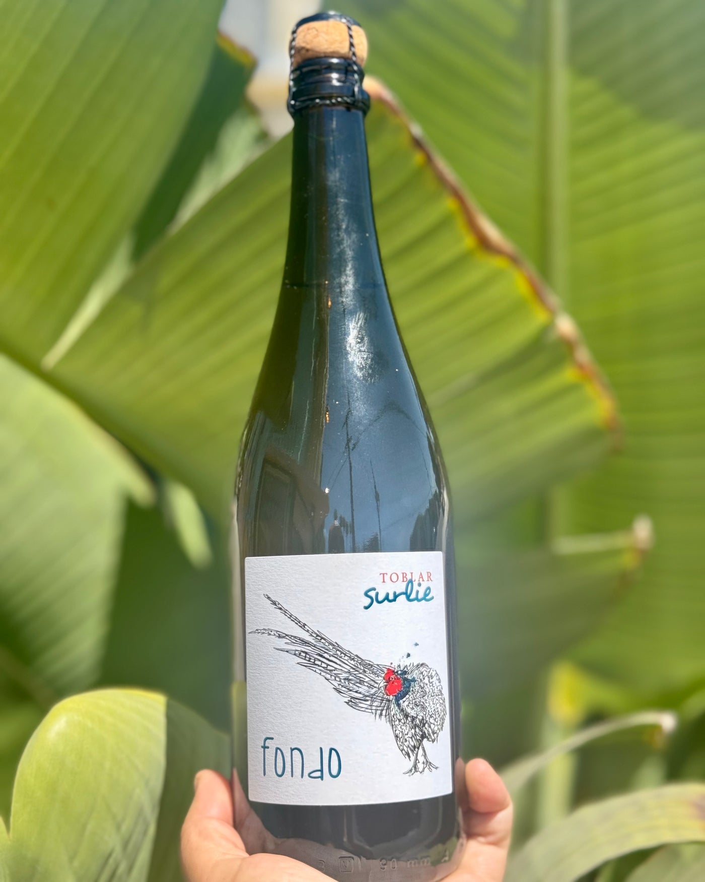 Specogna Pro Fondo Prosecco
