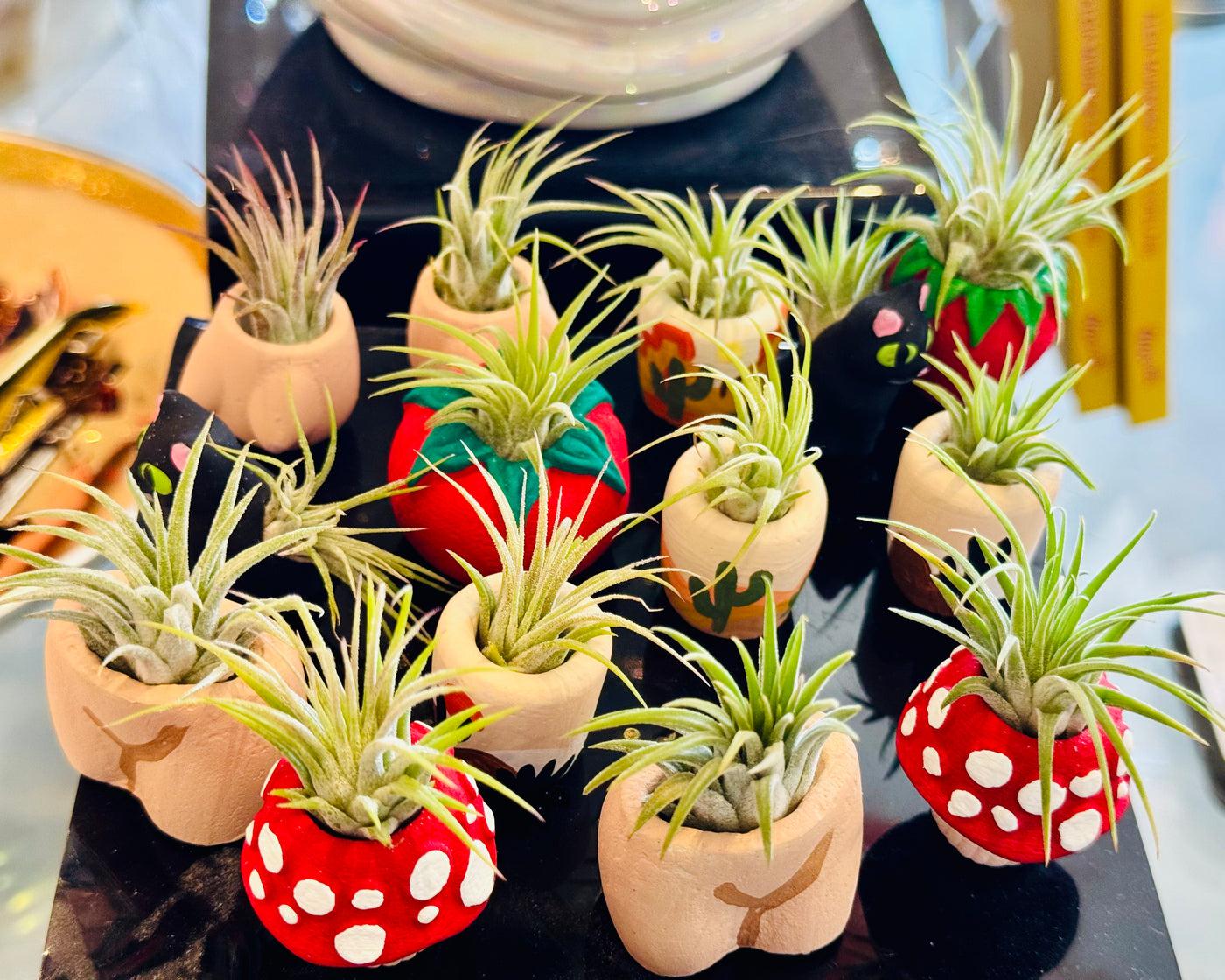 O'Berry's Mini Planter and Air Plant