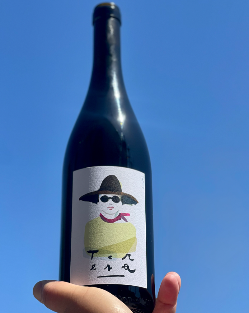100% Ruche. Piemonte, Italy.  Woman winemaker - Nadia Verrua. All natural. Chillable red. Funky fresh like 90's hip hop. Crisp and crunchy. Porcini mushrooms. Tarry beach. Blueberry bomb. Vanilla cherry cola. Thyme after time. Flowers in dirt. Figgy jam.