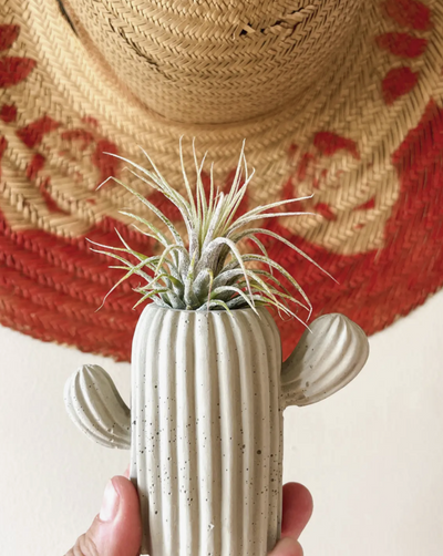 You've got room for this plant...er. Add a small plant or air plant to top this mini cactus planter off. Also can be used as match holder and striker. Dimensions: H 4" * W 3" Items are hand poured making each unique for you.  Woman Owned.  Handmade in the USA