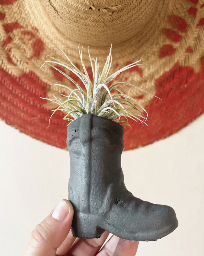 You've got room for this plant...er. Add a small plant or air plant to top this mini Cowboy Boot planter or Palo Santo Holder. Also can be used as match holder and striker. Dimensions: H 4" * W 3" Items are hand poured making each unique for you.  Woman Owned.  Handmade in the USA