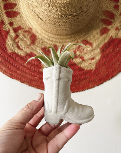 You've got room for this plant...er. Add a small plant or air plant to top this mini Cowboy Boot planter or Palo Santo Holder. Also can be used as match holder and striker. Dimensions: H 4" * W 3" Items are hand poured making each unique for you.  Woman Owned.  Handmade in the USA