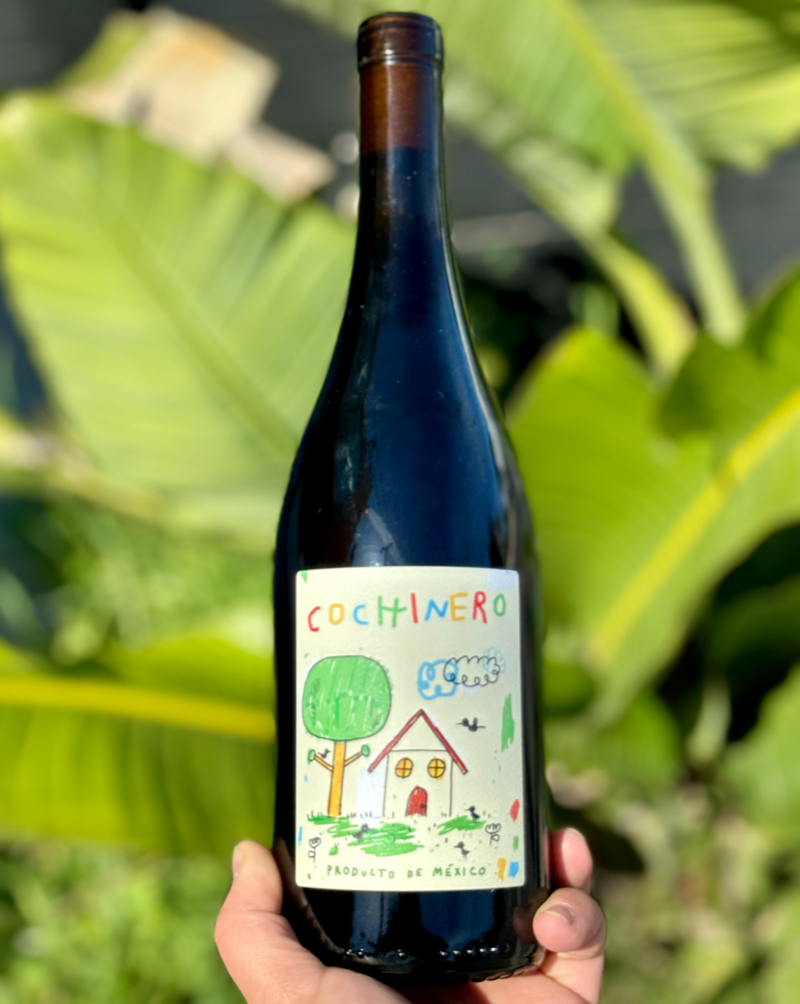 100% Grenache Valle de Gaudelupe, Baja, Mexico.Woman Winemaker - Silvana PijoanAll natural.Chillable red.A beautiful mess of Grenaches.A mega juicy squirt gun blasting red berry juice and earth on your face.Soft spicy kick.Rainbow bright. 