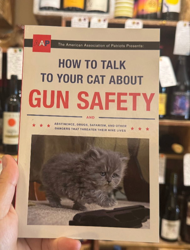 How to Talk to Your Cat About Gun Safety