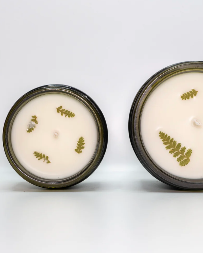 Two candles with pressed leaves on a white background