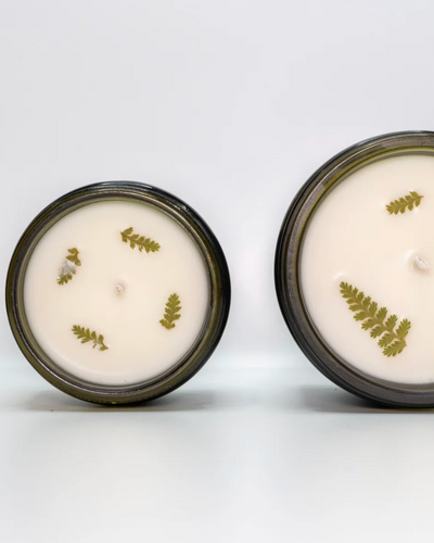 Two candles with pressed leaves on a white background