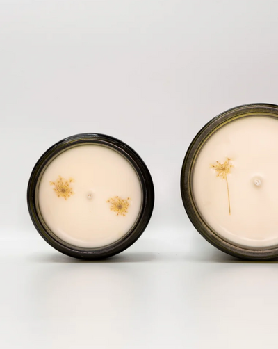 Two round containers with dried flowers on a white background