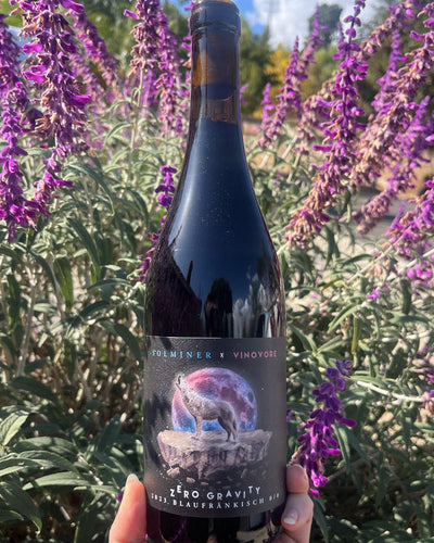 100% Blaufränkisch.
Los Olivos, California


Lady winemaker - Anna Delaski.
All natural&nbsp;
Chillable red.
New world Blau.
Zero added sulfites or anything!

Wild Cherry lip smacker kisses on a leather and lace mouth.
Space dust and graphite minerals.
Earthy fairy twig sprinkles.
Cranberry sauce drizzled on dark chocolate.
Give her a little time to open up like good therapy.