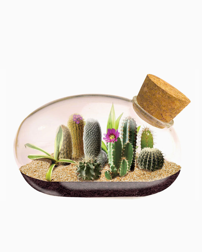 Mini Desert Mouse Glass Terrarium