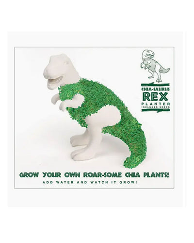 Turn your tables into prehistoric jungles with the terrifying Chia-saurus Rex! Just cover him in the seeds provided, add water and sunlight and watch the Jurassic juggernaut grow!

Designed in London by Gift Republic