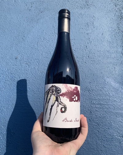 80% Zweigelt. 20% St. Laurent. Burgenland, Austria.  Woman winemaker - Judith Beck. All natural. Olive pits and ripe blueberry. Cherries + herbs. Funky and deep like a stand up bass. Zippy lift at the end.