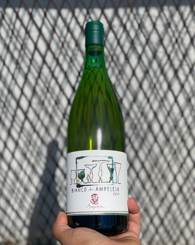 100% Trebbiano Tuscany, Italy.  Woman winemaker - Elizabetta Foradori. Roasted chestnuts. Super crisp orange wine. Petrol + citrus. Nervy minerals + dried apricots + pineapples. Damn she's good! 12 days on skins.