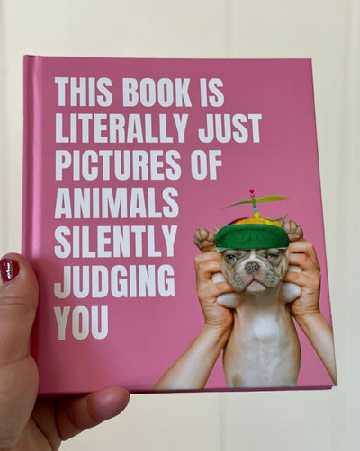 This book is here to give us all the side eye, showcasing our friends from the animal kingdom at their very sassiest.  If the utter chaos of recent world events has taught us anything, it's that people are bad at making decisions. So, in uncertain times, we need someone to tell us like it is - and that someone is animals.