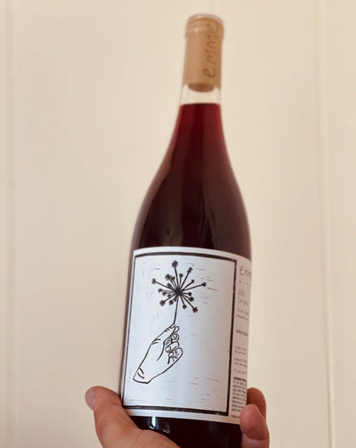 100% Carignan Mendocino, California.  Woman winemaker - Rosalind Reynolds. All natural. Chillable red. Congratulations! You get to drink this light, bright and simply yum wine! Sour cherry popsicle dipped in flake salt. Runies in sunshine.