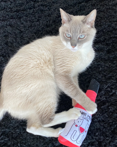 The PetWineShop Kicker Toys are extraordinarily bright and fun catnip kicker toys for cats. Packed with over 2 ounces of catnip per toy, they're almost as irresistible as the bottle of catwine they resemble.
